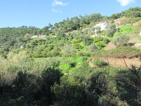 Foto: Häuser am steilen Berg in Monchique