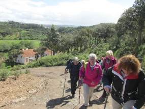 Foto: Seniorenwandern, Wanderweg, Anstieg im Hinterland