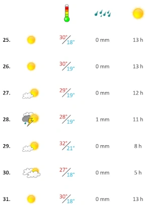 Grafik, Wetterbericht der vierten Woche Juli 2024