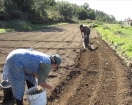 Geführte Wanderungen an der Algarve - Bauern bei der Feldarbeit