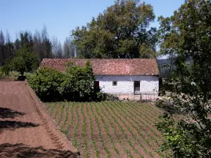 Bauernhaus beim Wandern in der Serra de Monchique
