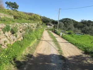 Wanderung vom Foia nach Caldas de Monchique, toller Wanderweg