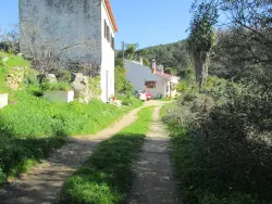 Foto Wanderung vom Foia nach Caldas de Monchique